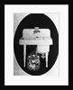 Walker Electric Dishwasher and Sink Module by Anonymous