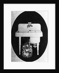 Walker Electric Dishwasher and Sink Module by Anonymous