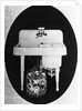 Walker Electric Dishwasher and Sink Module by Anonymous