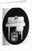 Walker Electric Dishwasher and Sink Module by Anonymous