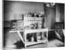 Electrical Heating and Cooking Appliances by Anonymous