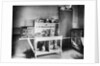 Electrical Heating and Cooking Appliances by Anonymous