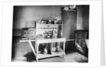 Electrical Heating and Cooking Appliances by Anonymous