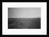 Coney Island Rail Yard for the Brooklyn-Manhattan Transit by Anonymous