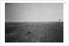Coney Island Rail Yard for the Brooklyn-Manhattan Transit by Anonymous