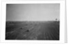 Coney Island Rail Yard for the Brooklyn-Manhattan Transit by Anonymous