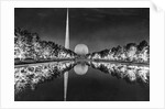 Trees Illuminated Around Constitutional Mall by Anonymous