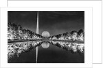 Trees Illuminated Around Constitutional Mall by Anonymous