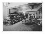 Sanborn Electric Company Store by Anonymous