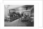 Sanborn Electric Company Store by Anonymous