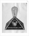 Edison Mazda Lamp by Anonymous