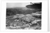 Aerial View of New York World's Fair by Anonymous