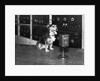 Dog at WGY Radio Microphone by Anonymous