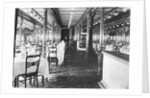 Elegant Dining Area on Shipboard by Anonymous