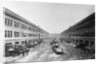 Commonwealth Fish Pier by Anonymous