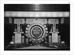Window Display for Edison Mazda Lamps by Anonymous