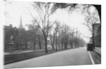 Trees Line a City Street by Anonymous
