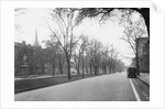 Trees Line a City Street by Anonymous