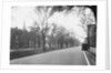 Trees Line a City Street by Anonymous