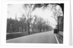 Trees Line a City Street by Anonymous