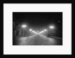 Lights Along a Foggy Street by Anonymous