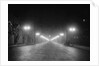 Lights Along a Foggy Street by Anonymous