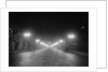 Lights Along a Foggy Street by Anonymous