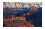 Walls of the Grand Canyon by Anonymous