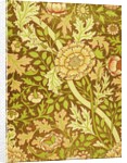 William Morris Design by Anonymous