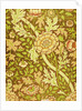 William Morris Design by Anonymous