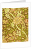 William Morris Design by Anonymous
