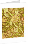 William Morris Design by Anonymous