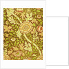 William Morris Design by Anonymous