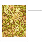 William Morris Design by Anonymous