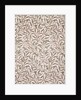 Morris Wallpaper, Willow Bough Design by Anonymous