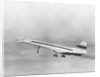 First Flight of the Concorde by Anonymous