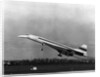 Taking Off For The First Time At 3.30 p.m. Is Concorde 001. by Anonymous