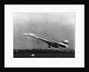 Taking Off For The First Time At 3.30 p.m. Is Concorde 001. by Anonymous