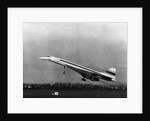 Taking Off For The First Time At 3.30 p.m. Is Concorde 001. by Anonymous