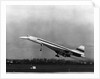 Taking Off For The First Time At 3.30 p.m. Is Concorde 001. by Anonymous