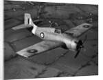 Grumman Martlet 1 by Anonymous