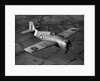 Grumman Martlet 1 by Anonymous