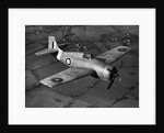 Grumman Martlet 1 by Anonymous