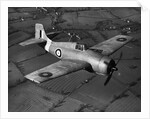 Grumman Martlet 1 by Anonymous
