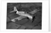 Grumman Martlet 1 by Anonymous