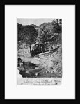 Gold Mine in New Zealand by Anonymous