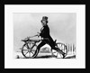 Man Riding Early Bicycle by Anonymous