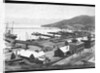Lyttleton Harbour by Anonymous