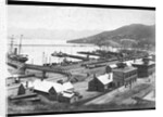 Lyttleton Harbour by Anonymous