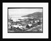 Lyttleton Harbour by Anonymous